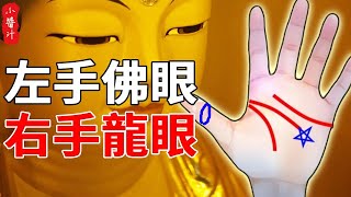 左手佛眼，右手龍眼，不管男女，第六感預知能力強，遇事逢兇化吉，一生富貴雙全，好命一輩子!#生活小醬汁#風水#相學