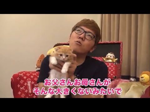 ヒカキン矛盾発言 「お父さんお母さんがそんな大きくない」