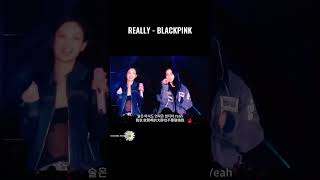REALLY - BLACKPINK #concert #blackpink #rosé #jisoo #jenniekim #lalisa #really