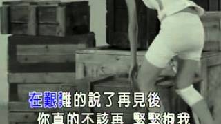劉若英-一次幸福的機會.mpg