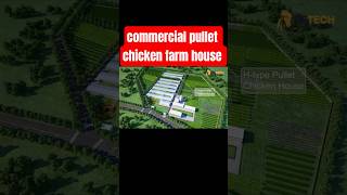 pullet chicken farm | commercial chicken house | poultry farming equipment  - RETECH Farming