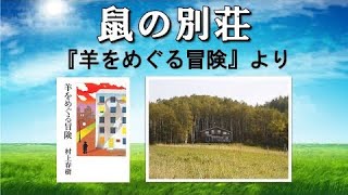 作業用　睡眠用BGM    村上春樹作　羊をめぐる冒険1️⃣   前半