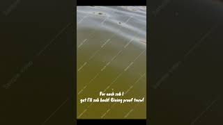 Sub 4 sub! Showing proof later! #sub4sub #meme #cool #subscribe #goesviral