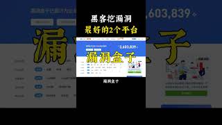 NINJA OMEGA SEC  |  黑客挖漏洞最好的2个平台，小白必备！ #黑客 #网络安全 #计算机 #编程 #程序员