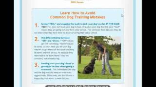 Dove Cresswell Dog Training Review