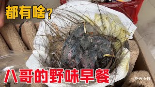 小何一大早起来喂八哥们吃饭，看看都准备了什么好吃的吧？【桥头小何】