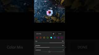 Lightroom Mobile Live Photo Editing #short #shortvideo #views #subforsub #shorts #likeforlike