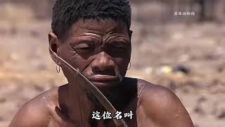 #精彩的动物世界 #神奇大自然