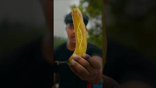Why are we 60% banana? #dna