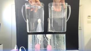 アラミック　節水シャワープロ・プレミアム②
