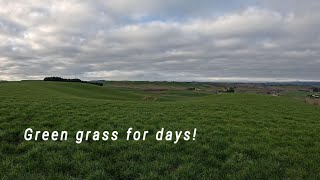 Two weeks on holidays, have the crops improved since we've been gone?