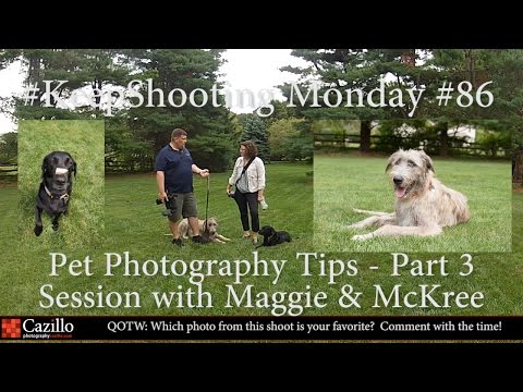 Pet Photography Tips - Part 3