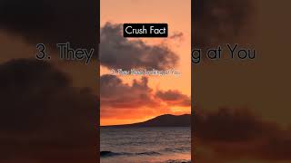 5 Sneaky Signs Someone Has a Crush on You! 😏💕 #facts #shortsfeed
