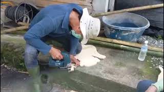 社區規劃紀錄3