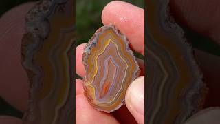 Prepping an EPIC Malawi agate for polishing!