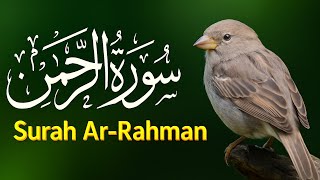 Surah Rahman With Urdu translation Ep0005  |surah rahman recitation Surah Rahman Urdu Tarjuma