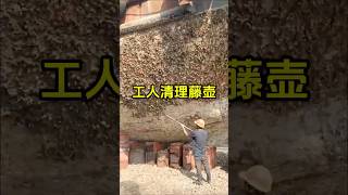 工人清理船底藤壶虽然看起来解压，但实际却很痛苦 #藤壶 #解压 #有趣 #趣事 #全球看点