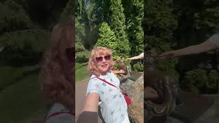 #золотіворота #роботаонлайн #вигідніпокупки #приєднуйсявкоманду #фармасі #бізнес #здоровехарчування