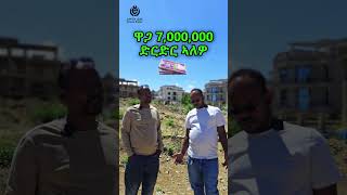 mekele  dlela