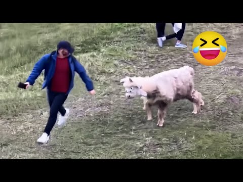 “FUNNY Fails of This Week 😂 Try Not To Laugh | Trending Compilation 2025”