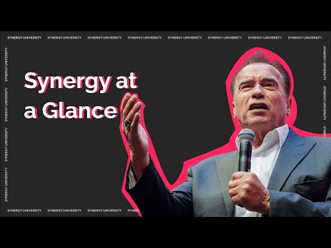 Synergy at a Glance