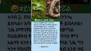 #amharic #habesha #history