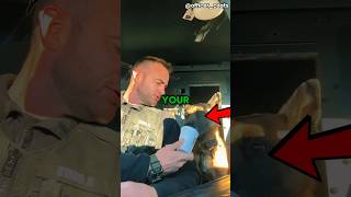 dogs eating pup cup 😂 #dog #funny #pets #animals