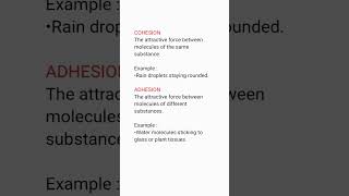 Cohesion and Adhesion                   #basicscience #shorts