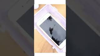 ipone ve feviquick! #shorts #techshort #techshort