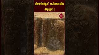 திருச்செந்தூர் கடற்கரையில் அற்புதம்..! நீரில் இருந்து வந்த பைரவர் | Thiruchendur | Kala Bhairavar