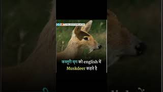 new words meanings 2023 #short #dailyenglishspeakingpractice #englishspeaking