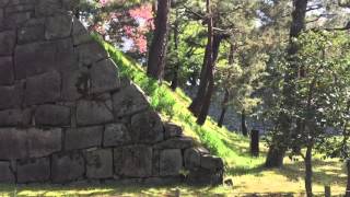 Walking, Inside Views, Nijō Castle, 二条城, Castle, Tokugawa Castle, Kyoto, Japan