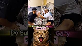 put this is 3x #funnycat #shorts #memes