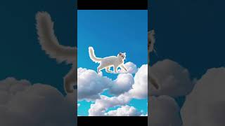 AI Cloud Cat #AI  #anime #4k #ai #aicat #aigraphics #artificialintelligenceart