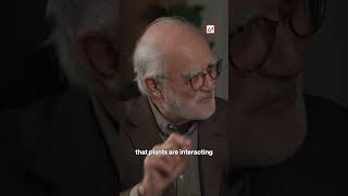 Do Plants Have Consciousness? Stephen Batchelor Responds #berggrueninstitute #futurology #podcast