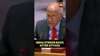 India Vs Pakistan: India’s UN Envoy Defends Operation Sindoor After Pahalgam Terror Attack