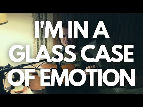 Sara Bareilles Basket Case Cover