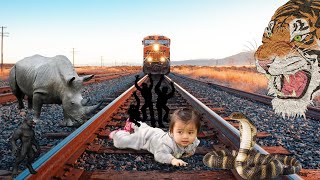 Tiger And Wolf on track try to stop train and saves the BABY on track funny vfx video editing