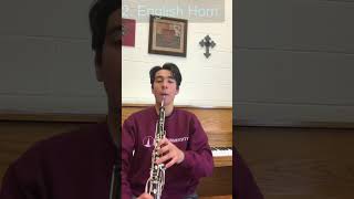 Who would win: Oboe and English Horn? #music #shorts #oboe #englishhorn #mozart