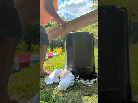 Airguns for self defense # 2