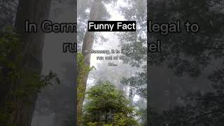 Allfacts #shorts #allfacts #funnyfacts