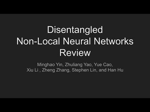 Disentangled Non local Neural Networks