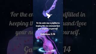 Verse of the day #bible #bibleverse #love #lovestatus #quotes