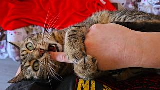 Give me those fingers to bite!