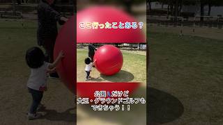 【吉野ヶ里歴史公園】#切り抜き #家族でおでかけ #吉野ヶ里歴史公園 #大玉転がし #グラウンドゴルフ #shorts