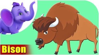 Bison - Animal Rhymes in Ultra HD (4K)