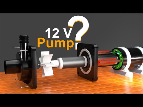 How does a 12v water pump work? (3D Animation) हिंदी /اردو #waterpump #pump #12vwaterpump