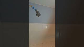 MOEN Magnetix 🧲 showerhead install  #plumber #diy #handyman #howto #shorts #water #construction
