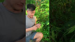 Short funny video #funny #cute #woodcraft