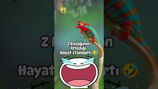 Bechora pashsha #FunnyWorld #InterestingFacts #FunVideos #Entertainment #Pranks #Shorts #YouTubeFun